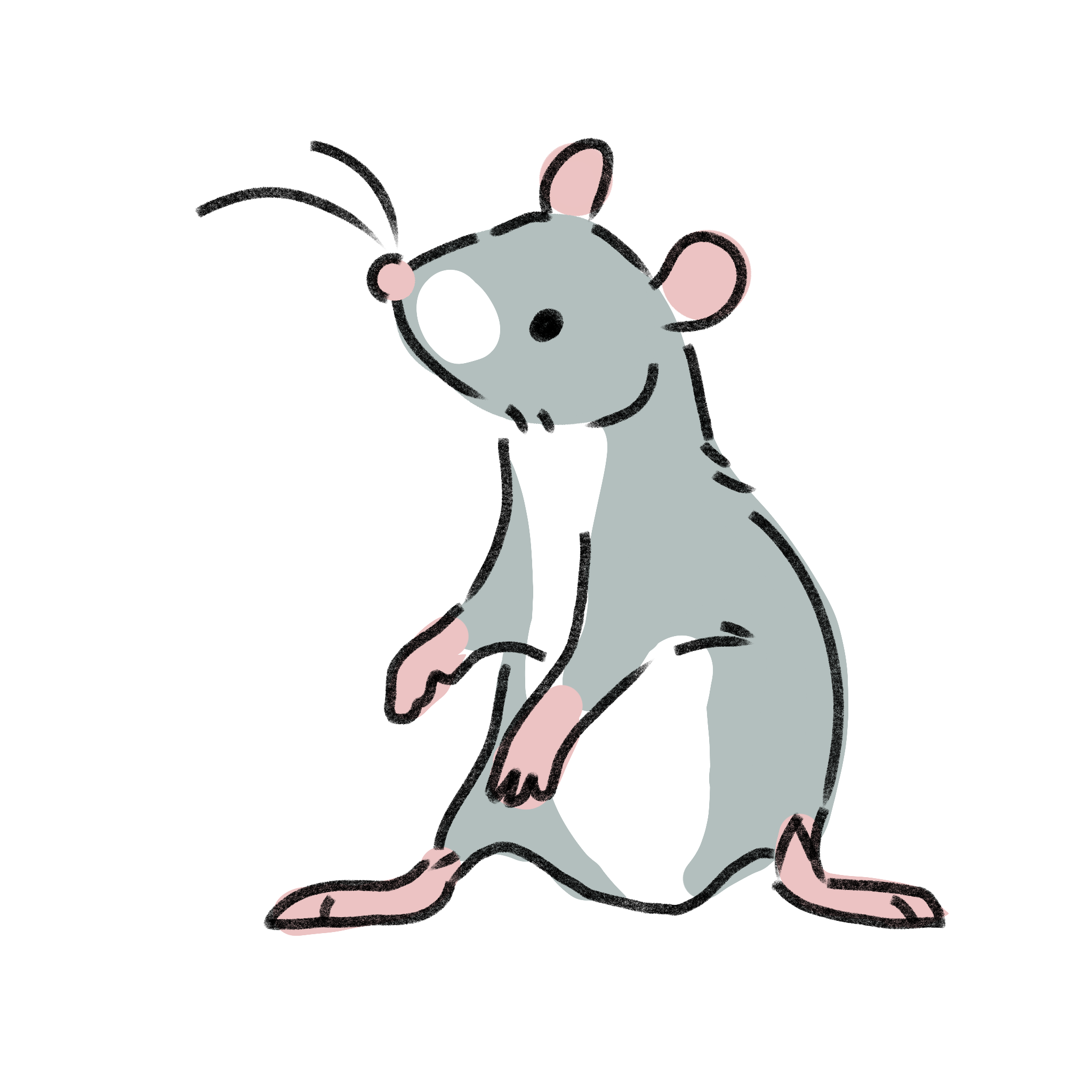 My Rat Drawing
